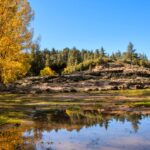 المنتزه الوطني لإفران ينتعش بعد أمطار الخير