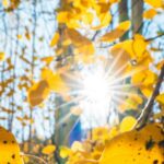 الطقس.. الأجواء حارة مع تشكل سحب منخفضة