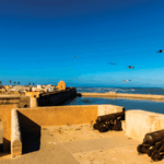 منتدى البحر 2025 بالجديدة: تسليط الضوء على رهانات حماية المحيطات والتنوع البيولوجي البحري