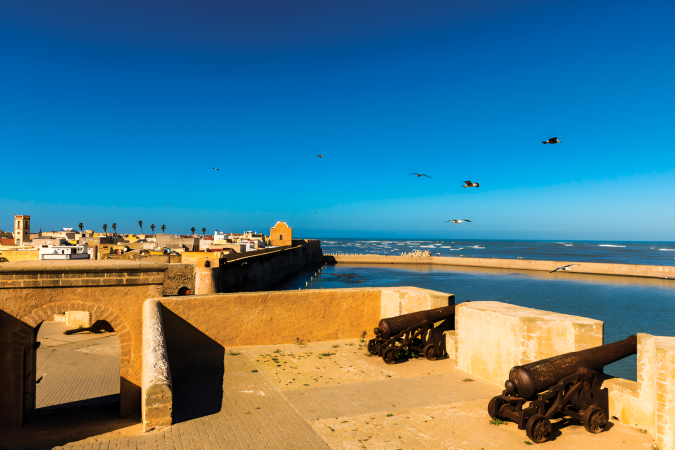 منتدى البحر 2025 بالجديدة: تسليط الضوء على رهانات حماية المحيطات والتنوع البيولوجي البحري