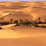 العثور على جثة سائح تاه في صحراء زاكورة