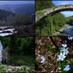 ريزة التركية.. عاصمة "الشاي والمطر" تفتح ذراعيها لعشاق الطبيعة