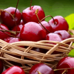 صفرو تحتضن مهرجان حب الملوك في دورته ال101 من 11 إلى 14 يونيو الجاري