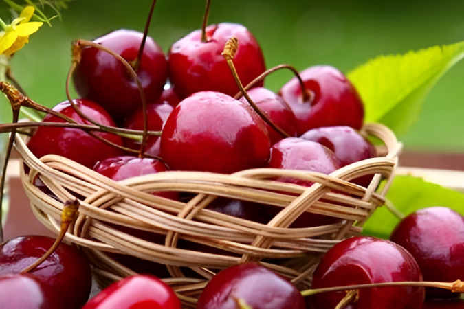 صفرو تحتضن مهرجان حب الملوك في دورته ال101 من 11 إلى 14 يونيو الجاري