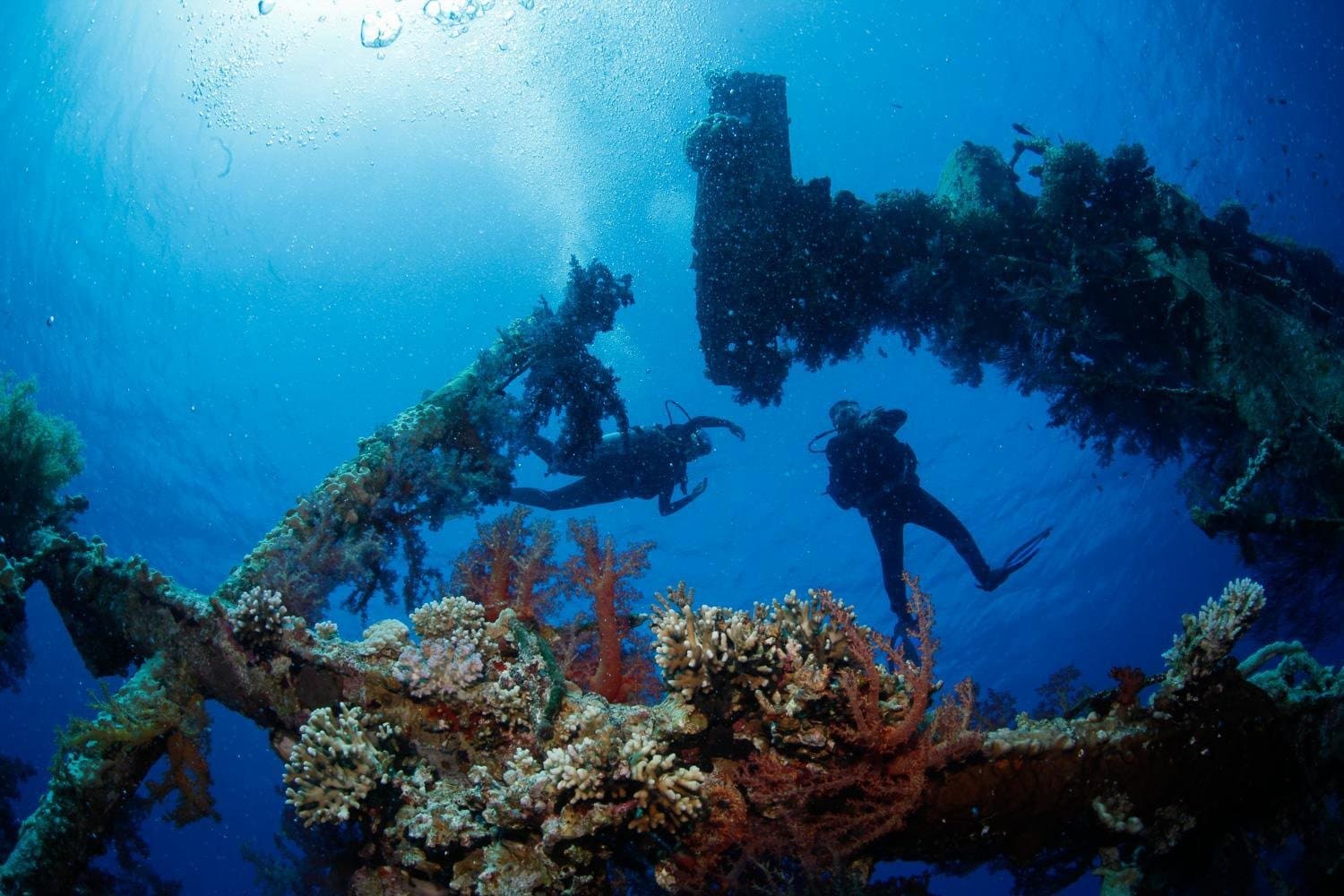 نيوم..اكتشاف أعماق جديدة في البحر الأحمر مع أوشن إكس 