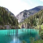 من أنقاض زلزال.. بحرينية تستكشف سحر "الغابة الغارقة" في كازاخستان