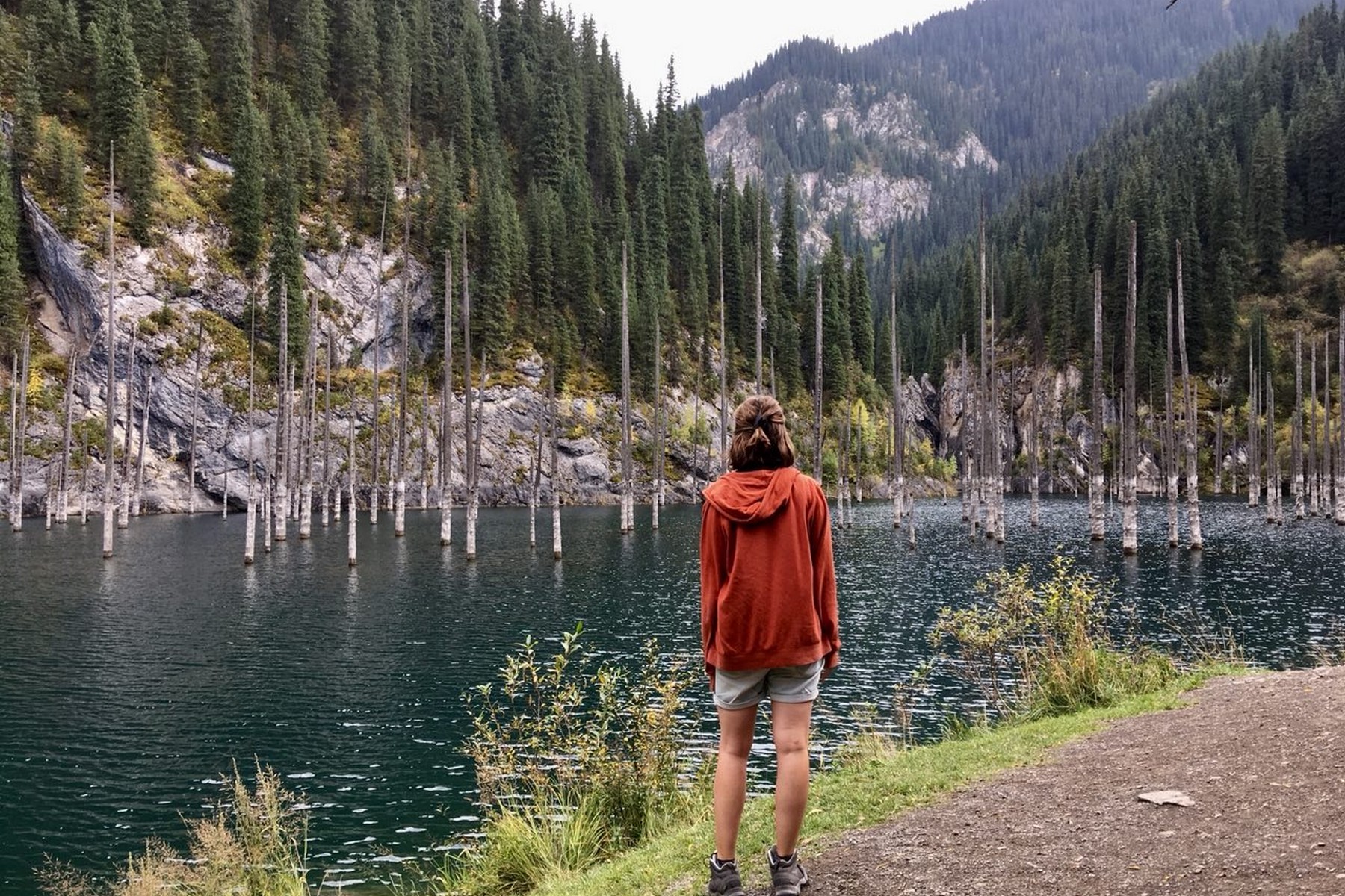 من أنقاض زلزال.. بحرينية تستكشف سحر "الغابة الغارقة" في كازاخستان