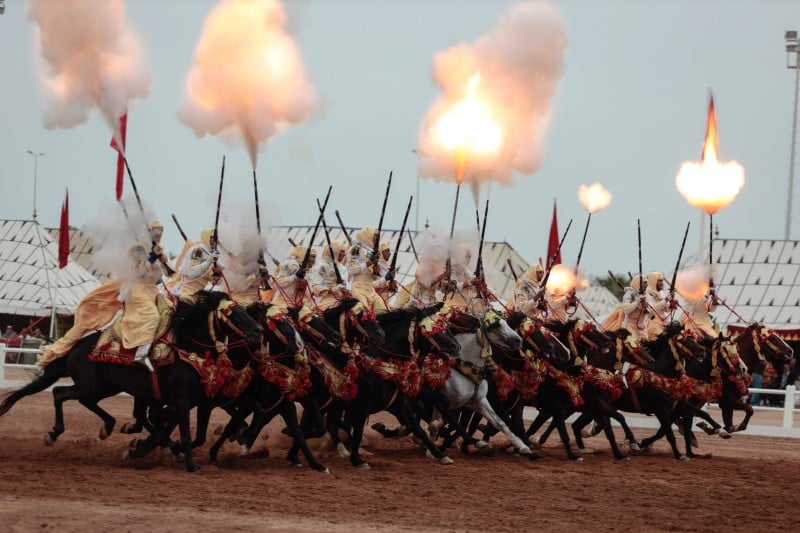 الدورة ال16 من معرض الفرس للجديدة: سلسلة من الندوات حول العناية بالخيل والتراث المرتبط بالفروسية