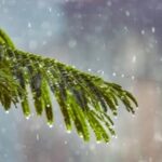 زخات رعدية محليا قوية مصحوبة بتساقط للبرد وبهبات رياح اليوم الثلاثاء بعدد من مناطق المملكة (نشرة إنذارية)