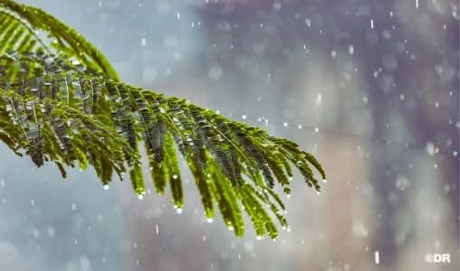 زخات رعدية محليا قوية مصحوبة بتساقط للبرد وبهبات رياح اليوم الثلاثاء بعدد من مناطق المملكة (نشرة إنذارية)