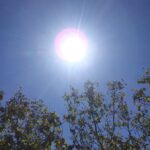 الطقس حارا نسبيا بكل من أقصى الجنوب والجنوب الشرقي للمملكة