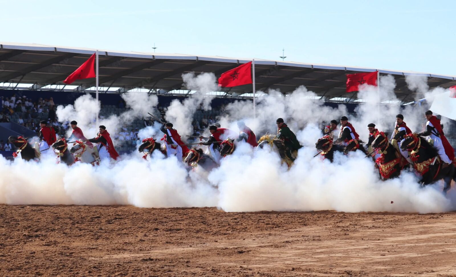 معرض الفرس بالجديدة .. التبوريدة، احتفالية مبهرة بفن متجذر في الثقافة المغربية