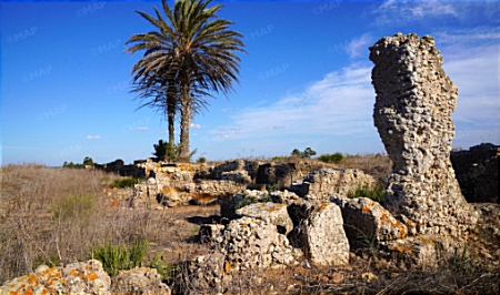 على ضفاف واد سبو موقع تاموسيدا الأثري.. شاهد على عمق التاريخ المغربي