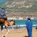 انعقاد أيام سوس ماسة للسياحة تحت شعار "التفكير بشكل مختلف في السياحة'