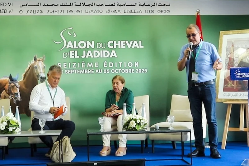 فعاليات معرض الفرس بالجديدة تبرز العناية بالخيل والاستخدامات السياحية