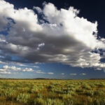 طقس بارد مع تشكل سحب منخفضة بمختلف المناطق