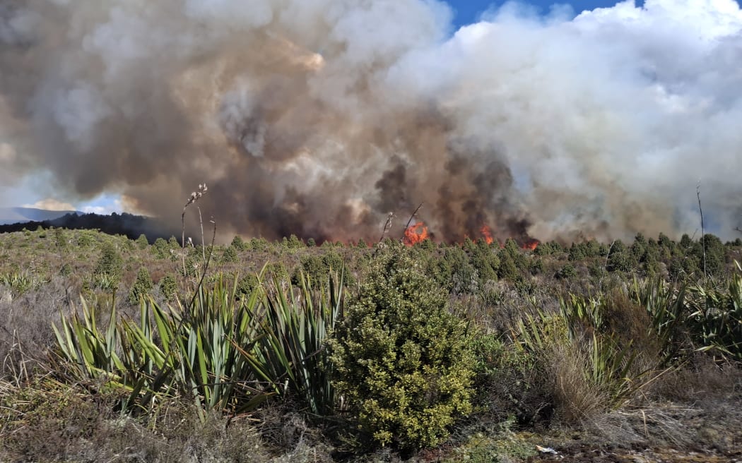 حريق هائل يجتاح متنزه تونجاريرو الوطني أحد أبرز المواقع السياحية في نيوزيلندا