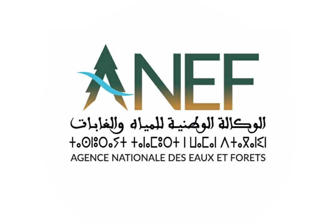 حدث ترويجي مخصص للصيد الترفيهي ما بين 7 و9 نونبر بالصويرة