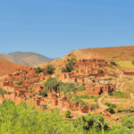 إقليم تارودانت.. تسليم 21 حافلة للنقل المدرسي لفائدة تلاميذ العالم القروي