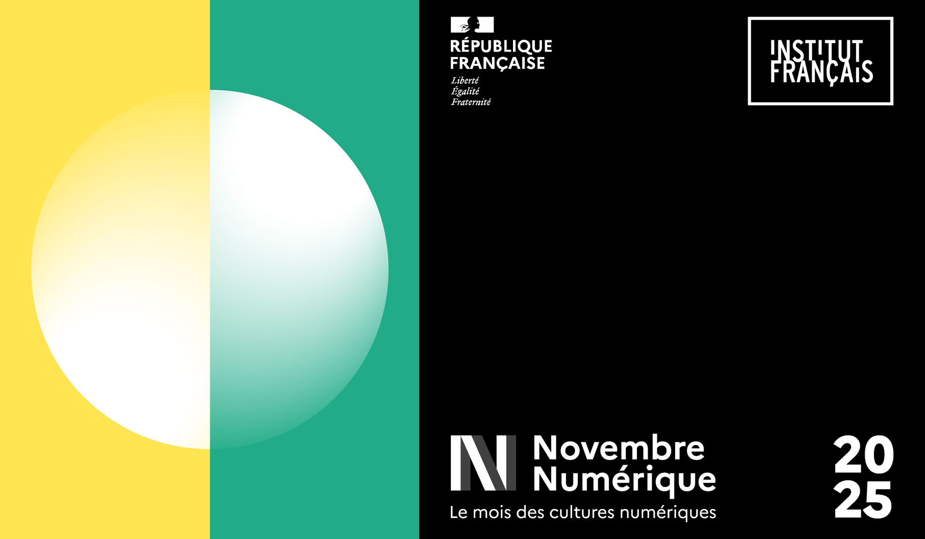 "نونبر الرقمي" يحتفي بالإبداع والمواهب الجديدة بالساحة الفنية المغربية