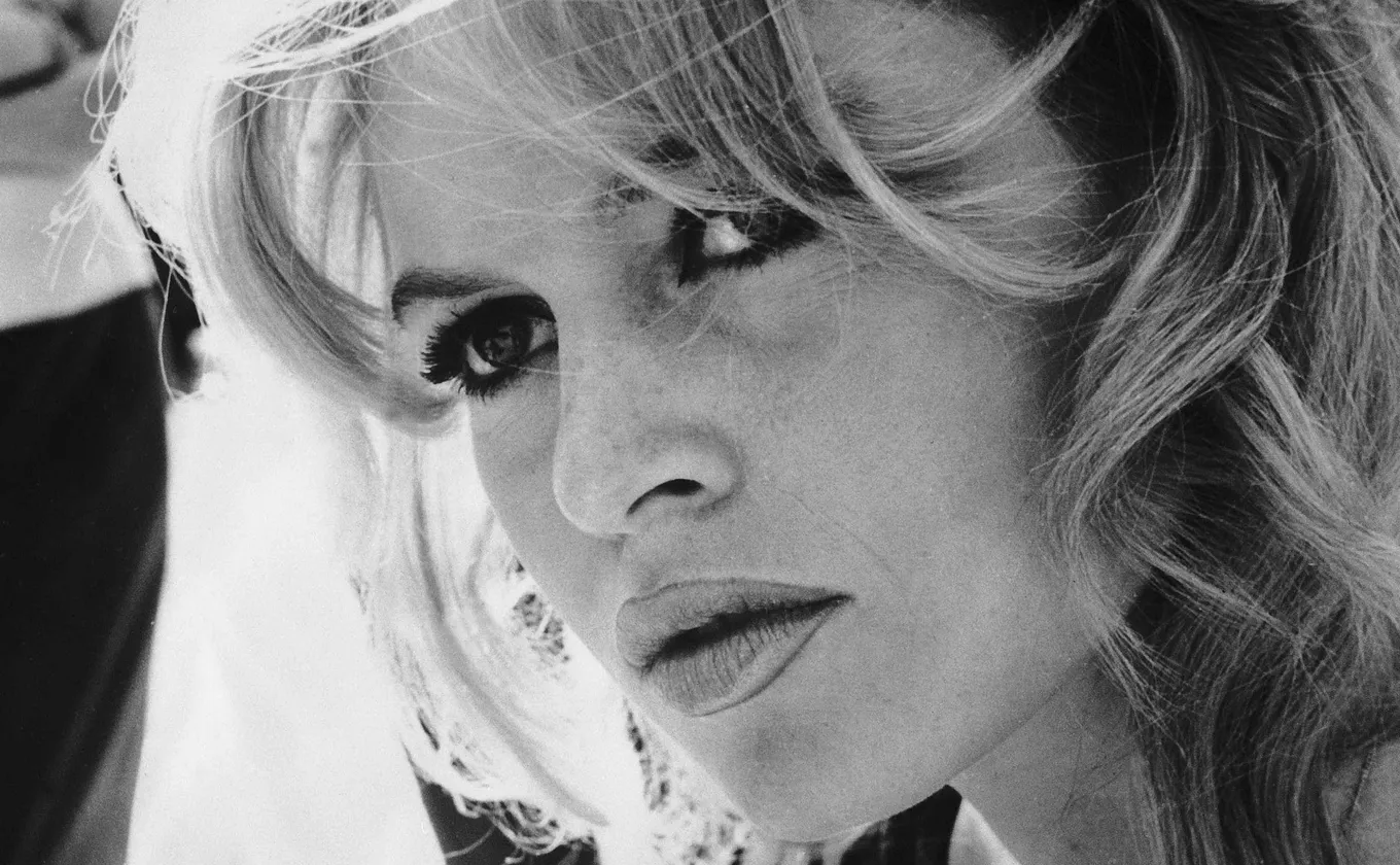 وفاة الممثلة والمغنية العالمية الشهيرة "بريجيت باردو" أيقونة السينما الفرنسية والمناضلة من أجل الحيوان