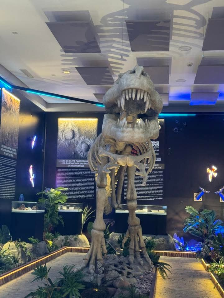 إلى غاية 28 فبراير..المعرض الدولي الثاني للتراث الأحفوري "إفريقيا - مهد أصول الحياة" يفتتح أبوابه أمام الزوار