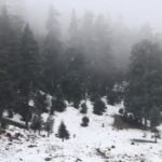 تساقطات ثلجية وأمطار قوية أحيانا رعدية وطقس بارد من اليوم السبت إلى الاثنين المقبل بعدد من مناطق المملكة (نشرة إنذارية)