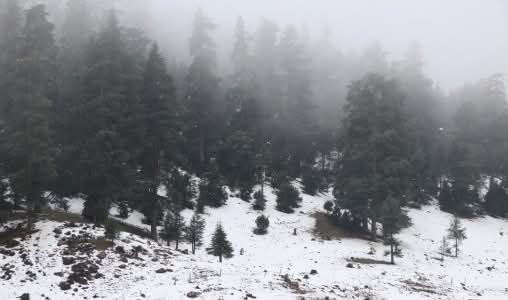 تساقطات ثلجية وأمطار قوية أحيانا رعدية وطقس بارد من اليوم السبت إلى الاثنين المقبل بعدد من مناطق المملكة (نشرة إنذارية)