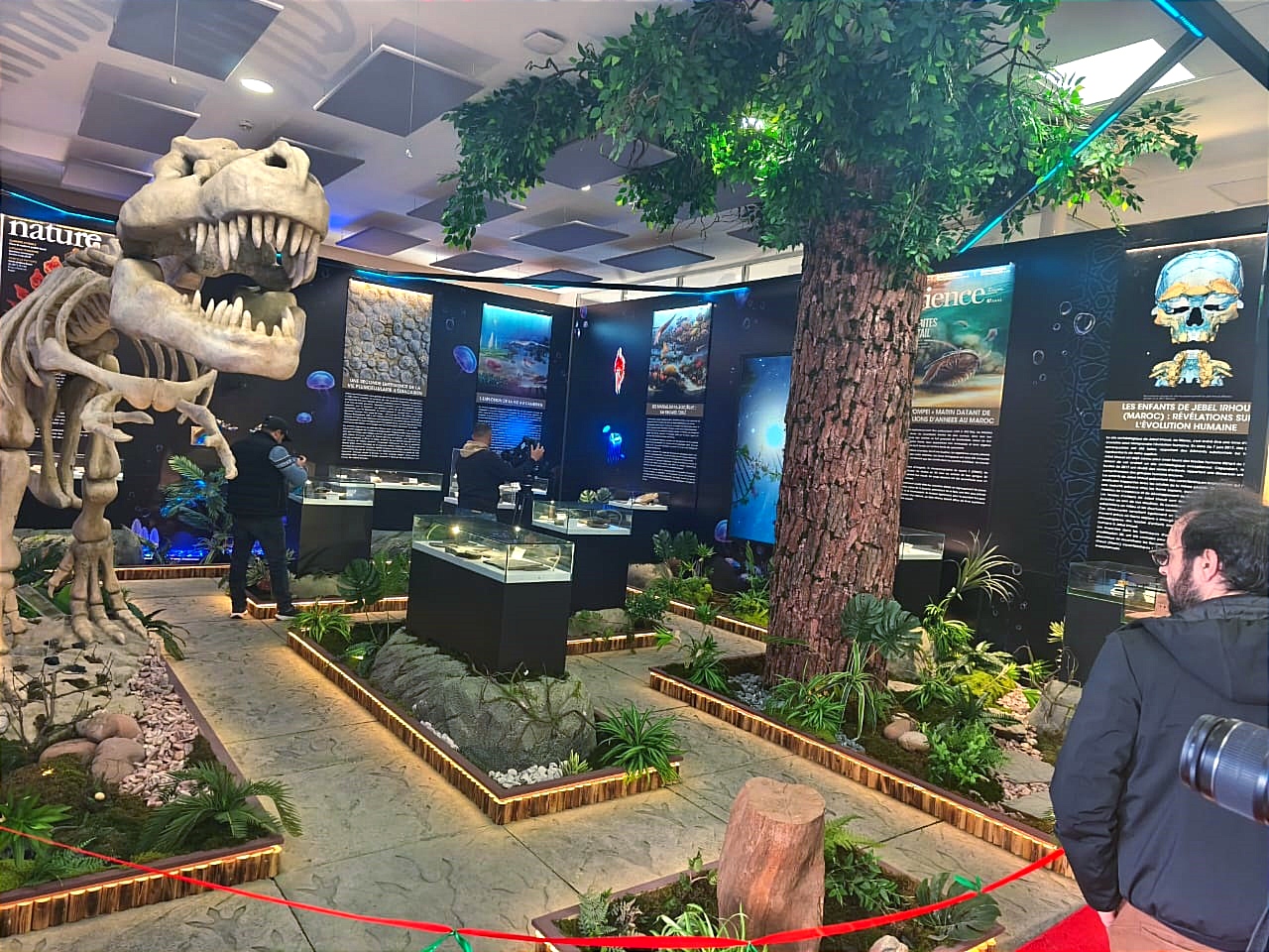 إلى غاية 28 فبراير..المعرض الدولي الثاني للتراث الأحفوري "إفريقيا - مهد أصول الحياة" يفتتح أبوابه أمام الزوار