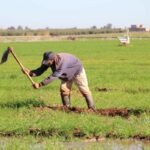 التساقطات تعيد الأمل… المغرب يغادر مرحلة الجفاف الطويل