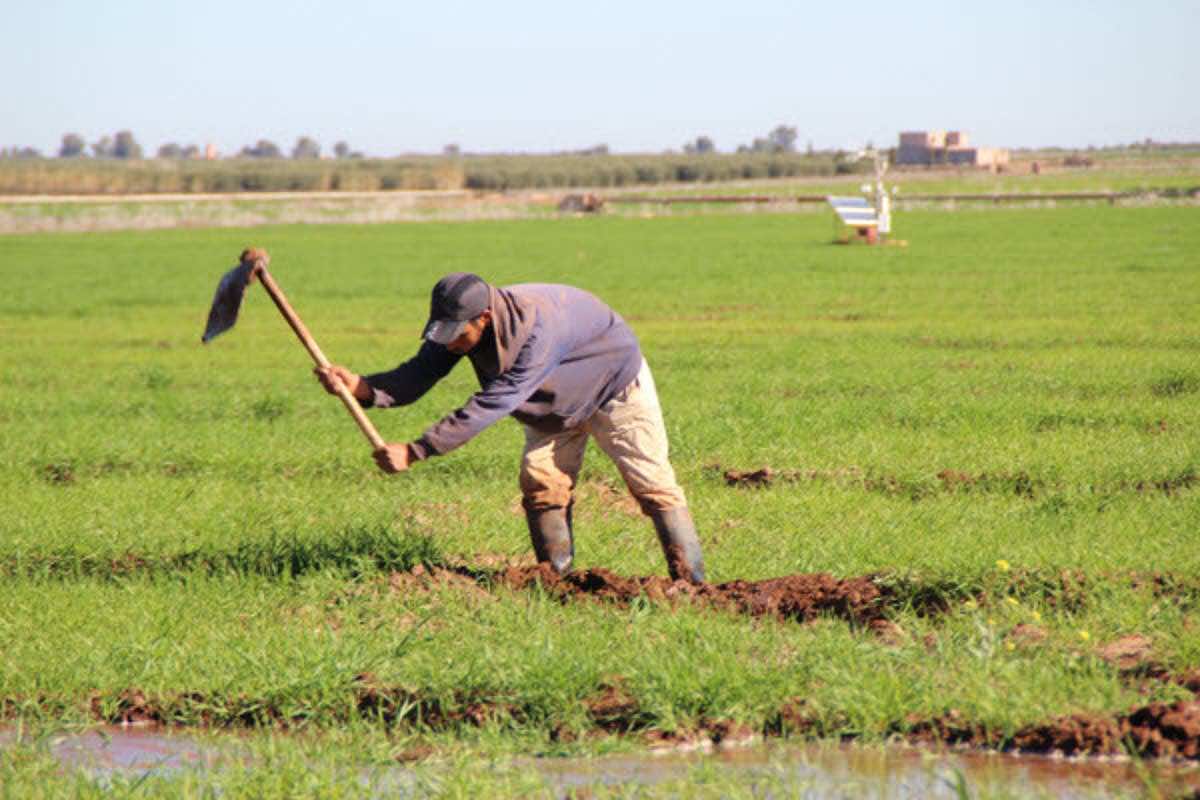 التساقطات تعيد الأمل… المغرب يغادر مرحلة الجفاف الطويل