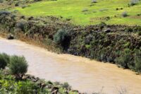 وادي أم الربيع.. شريان استراتيجي يستعيد زخمه الطبيعي