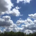 طقس بارد مع تشكل سحب منخفضة مصحوبة بكتل ضبابية