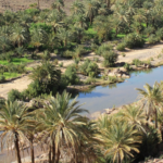 منتدى المضايق والواحات بتنغير يناقش تطوير السياحة الواحية والجبلية لتعزيز التنمية المحلية