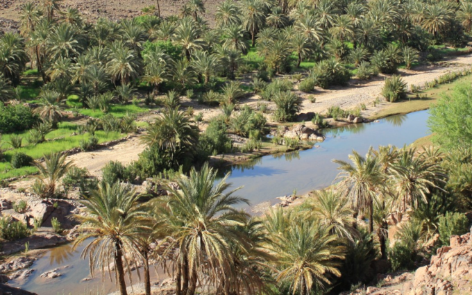 منتدى المضايق والواحات بتنغير يناقش تطوير السياحة الواحية والجبلية لتعزيز التنمية المحلية