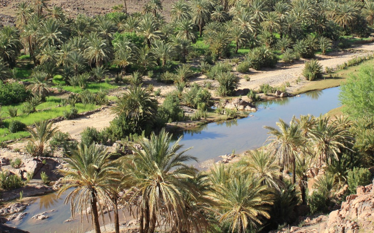 منتدى المضايق والواحات بتنغير يناقش تطوير السياحة الواحية والجبلية لتعزيز التنمية المحلية