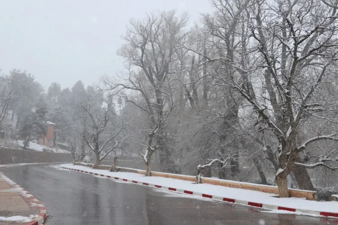 استمرار الطقس البارد مع تشكل سحب منخفضة كثيفة ببعض المناطق