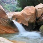 القطاع الجبلي بجازان السعودية.. قمم طبيعية ساحرة وإطلالات بانورامية تعكس ثراء بيئيا وتنوّعا جغرافيا