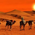 المغرب يعزز موقعه كقطب سياحي إفريقي واستثمارات واعدة تبحث عن التنويع