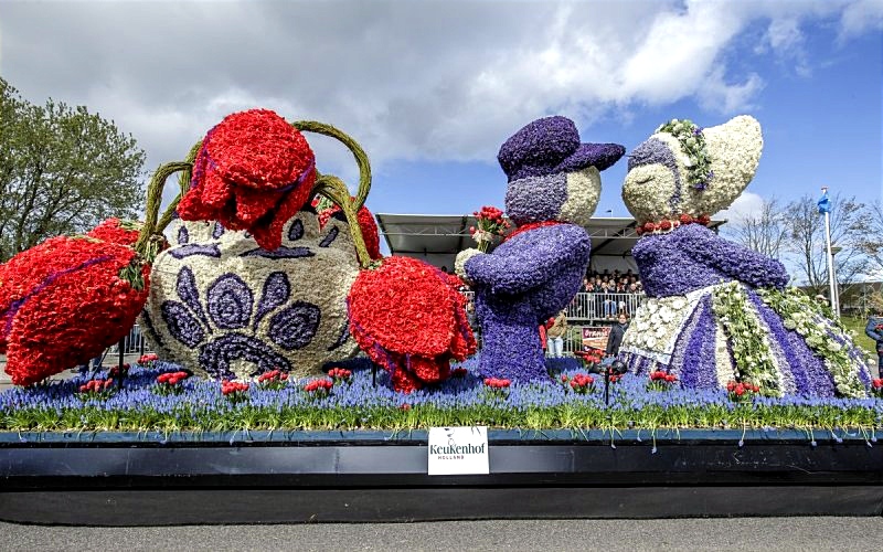 موكب الزهور في هولندا.. لوحات ربيعية مدهشة تجذب آلاف الزوار بين نوردفيك وهارلم