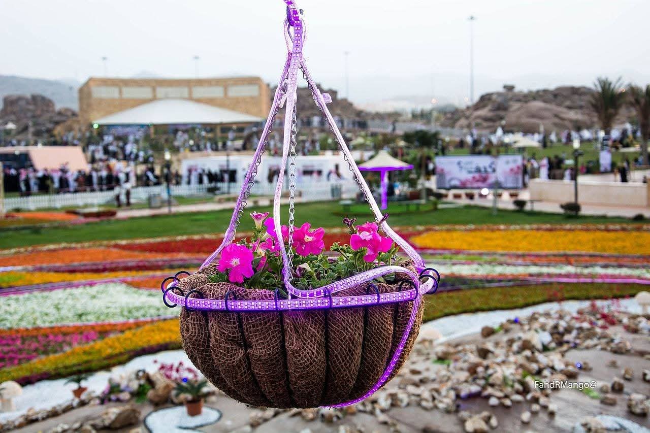 قلعة مكونة تتزين بأبهى الحلل في كرنفال احتفالي يجذب الزوار إلى وادي الورود