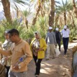 ملتقى علمي بفم زكيد يدعو إلى جعل السياحة رافعة لتنمية الواحات