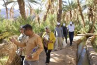 ملتقى علمي بفم زكيد يدعو إلى جعل السياحة رافعة لتنمية الواحات