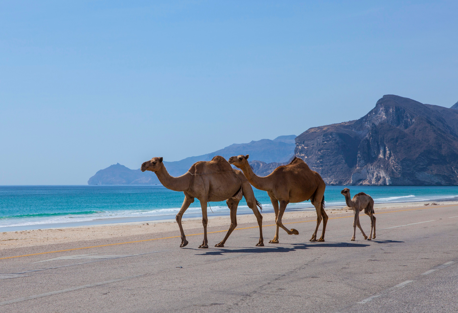صلالة ضمن المدن المرنة عالميا بتصنيف أممي يعكس جاهزيتها لمواجهة المخاطر والتشجيع على السياحة بسلطنة عمان