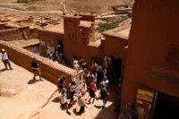 4623 مرشدا سياحيا يعززون جاذبية الوجهة المغربية